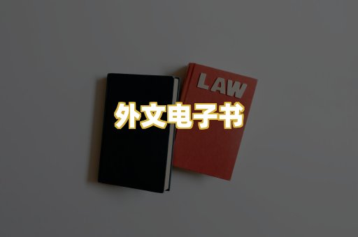 外文电子书